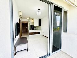 Palm Isles (D17), Condominium #447133511